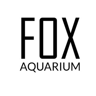 Fox Aqua