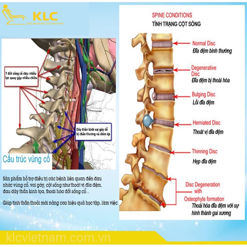 Gối massage KLC chính hãng