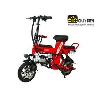 XE ĐẠP ĐIỆN GẤP THELI 02 10AH