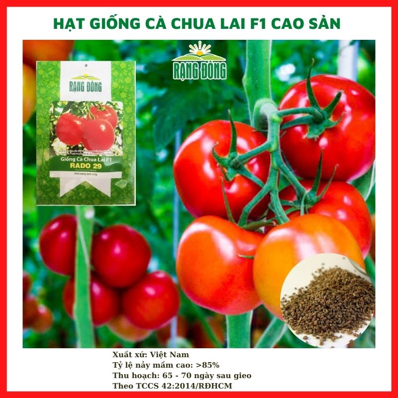 Hạt giống rau củ quả COMBO 9 loại rau chịu nhiệt 4 mùa trồng chậu dễ chăm sóc, tỉ lệ nảy mầm cao RÂDO