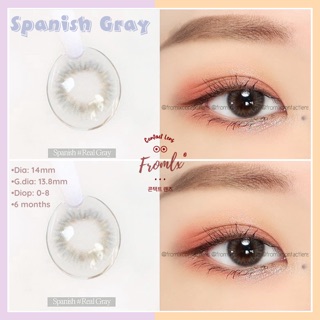 Kính áp tròng Spanish Gray (6 tháng)