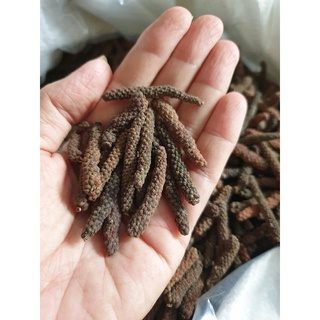 TIÊU DÀI-TIÊU LỐP-( long pepper )