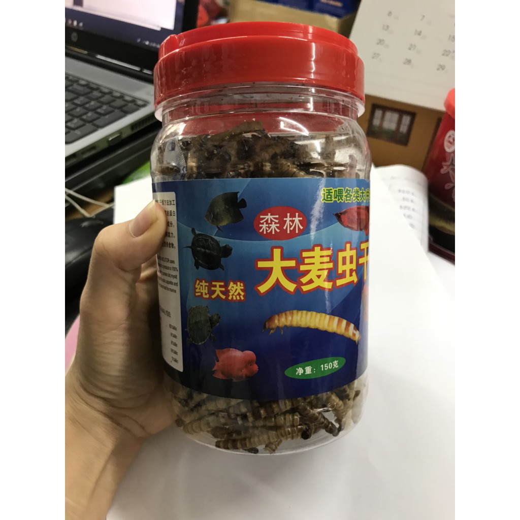 Sâu rồng sấy khô, thức ăn chuyên dụng cho cá cảnh, cá rồng lọ 150g- 200g