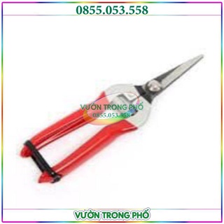 Kéo tỉa hoa tỉa lan cán đỏ lưỡi dài