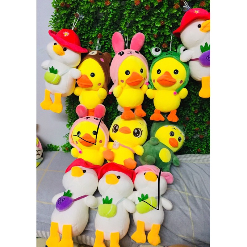 Combo 6 gấu bông 20cm