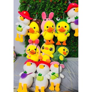 Combo 6 gấu bông 20cm