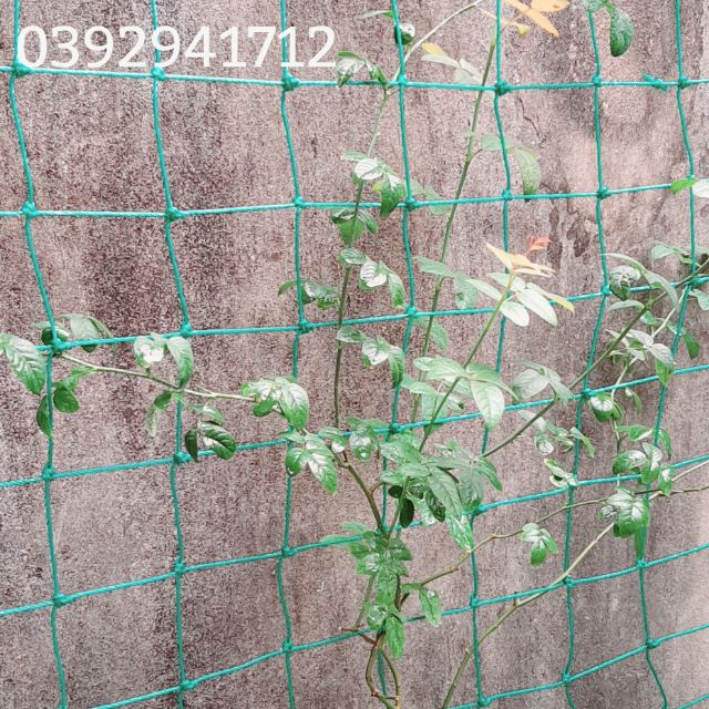 Lưới chắn sân bóng đá, bóng chuyền.( 3x20m)