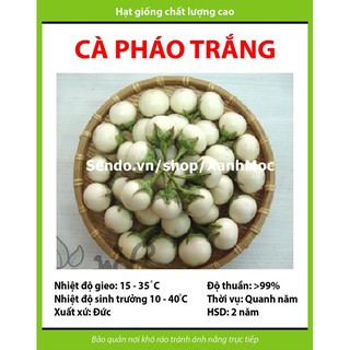 Hạt giống Cà pháo trắng - Gói 50 hạt