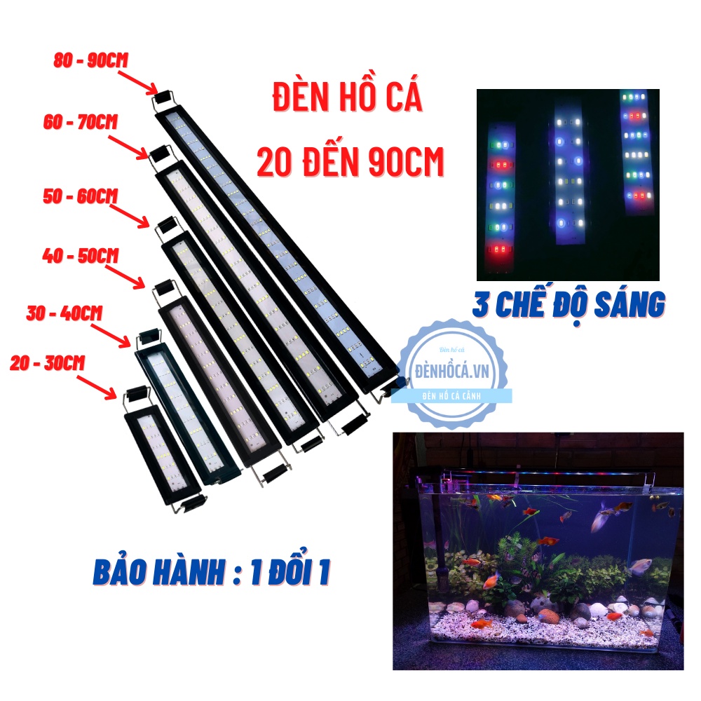 Đèn hồ cá ĐỔI MÀU với 3 chế độ màu dành cho hồ cá cảnh