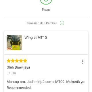 Mt15 đôi cánh