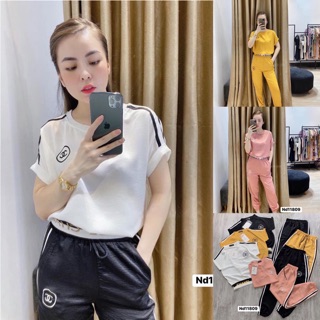 S773 Bộ Đũi Nữ Phối Áo Ngắn Tay Cạp In Nổi Sang Trọng và Quần Đũi Bo Gấu Tôn Dáng Sang Trọng