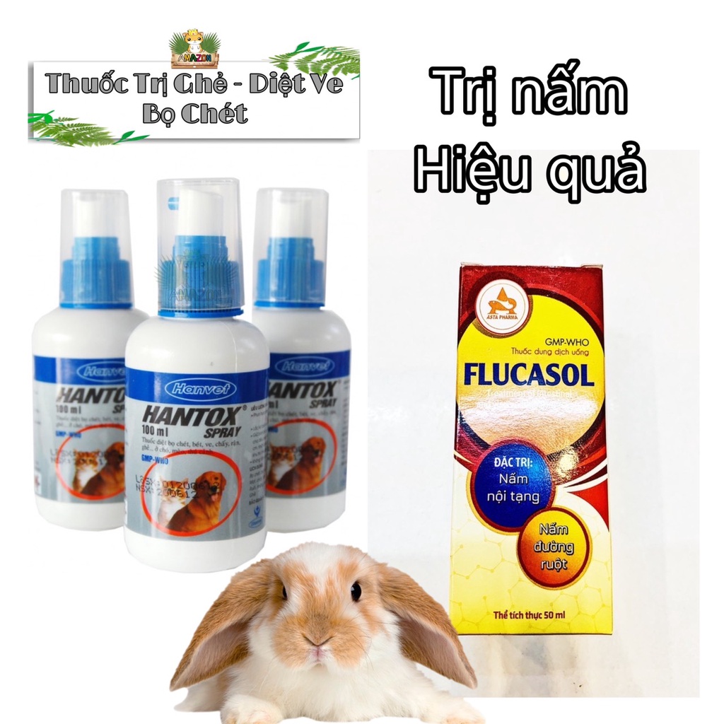 Loại bỏ  Nấm &amp; Ghẻ Cho Thỏ,Bọ