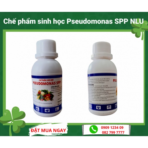 Chế phẩm sinh học Pseudomonas SPP NLU chai 100ml
