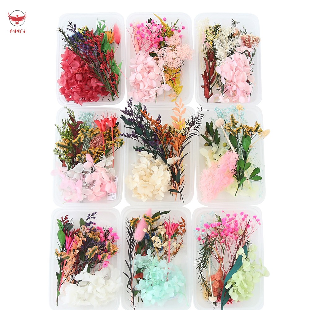 Set hoa lá thật ép khô hỗn hợp tự làm mặt trang sức nhựa resin/nến thủ công