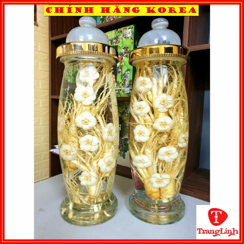 Nhân sâm hàn quốc 6 năm tuổi, hộp 1kg - Sâm tươi hàn quốc - Tăng đề kháng, phòng ung thư - tranglinhkorea