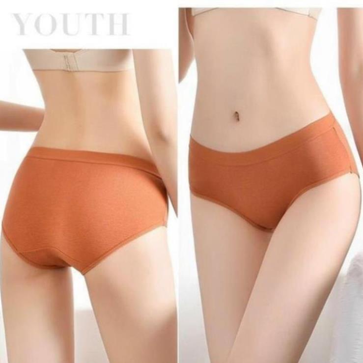 [Giá sỉ] Quần Lót Nữ Cotton Cạp Vừa, Thoáng Mát Thấm Hút Kháng Khuẩn 623 **