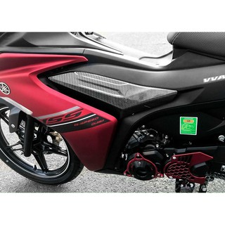 Cặp ốp sườn trước carbon ex155 vva