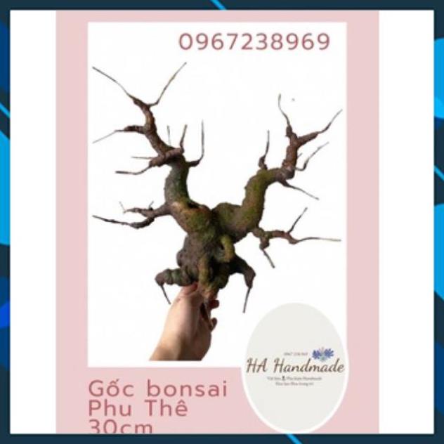 Gốc bonsai, thân cây giả Phu thê 30cm làm hoa mai đào handmade