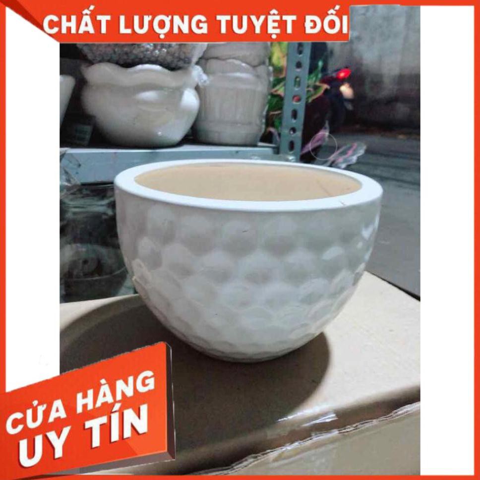 Chậu Trồng Cây Nhiều Người Mua