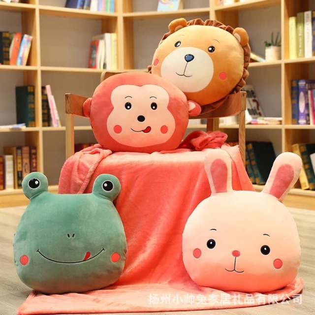 Bộ chăn gối 2 in 1