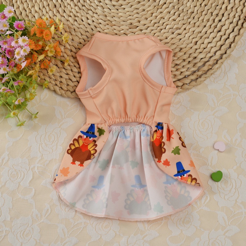 Đầm Công Chúa Hóa Trang Halloween Cho Thú Cưng 27