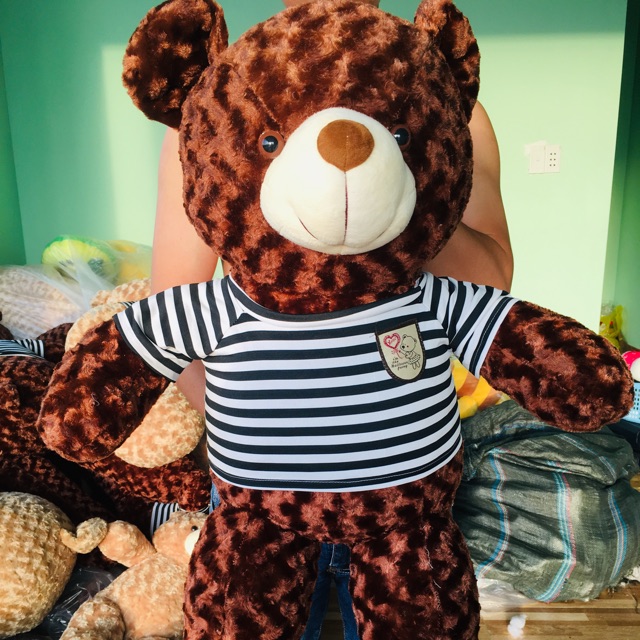 Gấu bông Teddy khổ vải 1m thành phẩm 80cm (GIÁ TẬN XƯỞNG)
