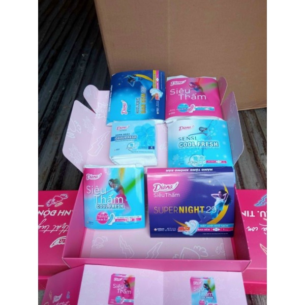 Set bvs Diana hàng quà tặng