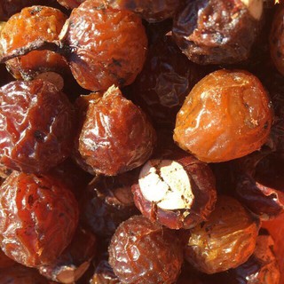 Quả Bồ Hòn Tây Nguyên Tách Hạt Loại 1 Dày Cùi Tươm Mật 1kg