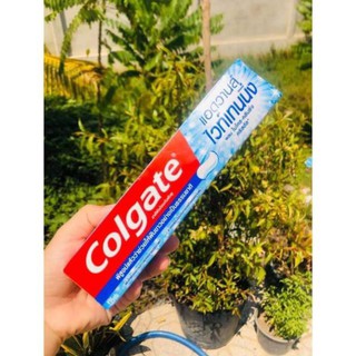Kem đánh răng colgate thái lan
