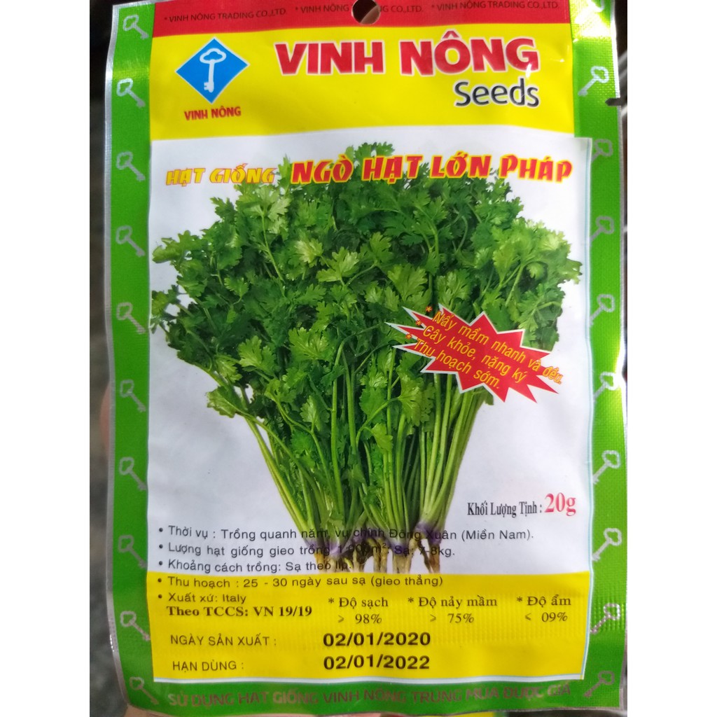 Hạt Giống Ngò Rí ITALY (20g)
