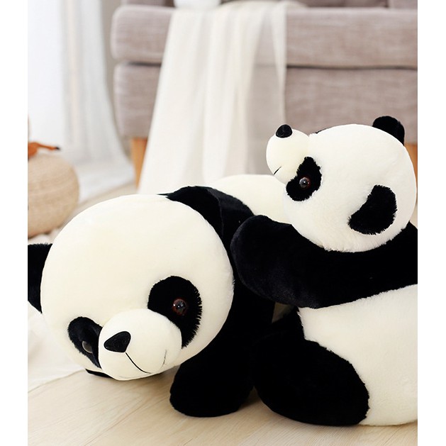 Gấu bông panda- gấu trúc dễ thương nhiều size lớn và nhỏ