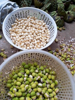 1KG Hạt sen tươi đã lấy tâm sen ( ship liền tpHCM )