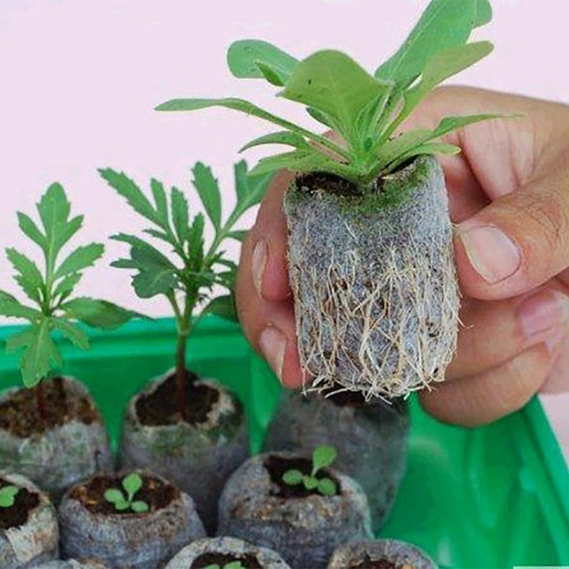 Set 120 Khối Gieo Hạt Trồng Cây 30mm Tiện Dụng