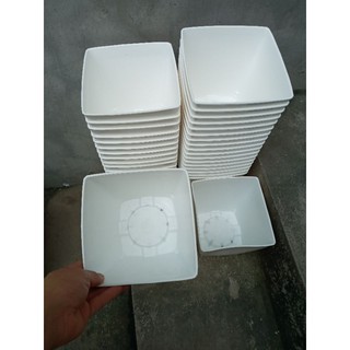 CHẬU TRẮNG TINH PHI 16CM