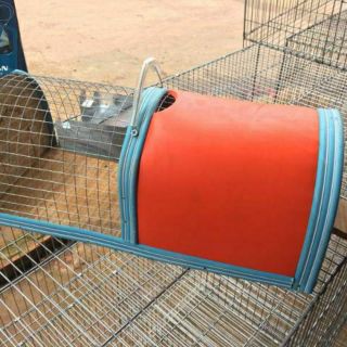 LỒNG BẮT CHUỘT THÔNG MINH Size Nhỏ 17cm-40cm