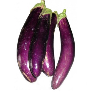 1gr - HẠT GIỐNG CÀ TÍM