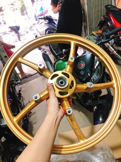 MÂM RCB 5 CÂY ZIN SATRIA RAIDER