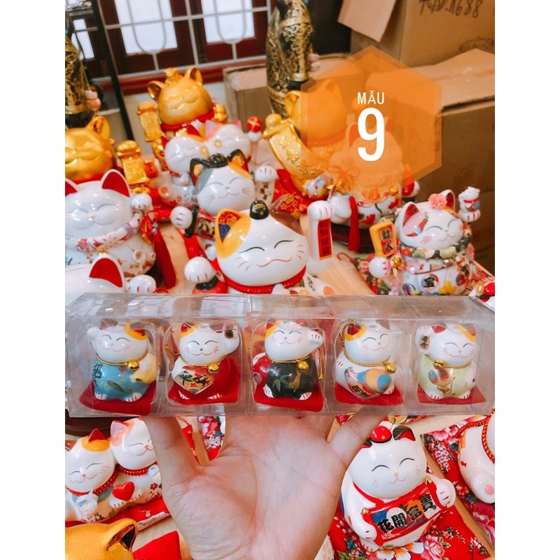[ 11 MẪU] 🔥 FREESHIP 🔥 Bộ 5 mèo thần tài sứ mini, hộp acrilic chống va đập. | BigBuy360 - bigbuy360.vn