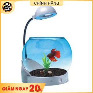 Bể Cá Mini Dạng Tròn Siêu Dễ Thương Jeneca TG-01; TG-02; TG-03 Bể cá mini kiêm đồng hồ để bàn