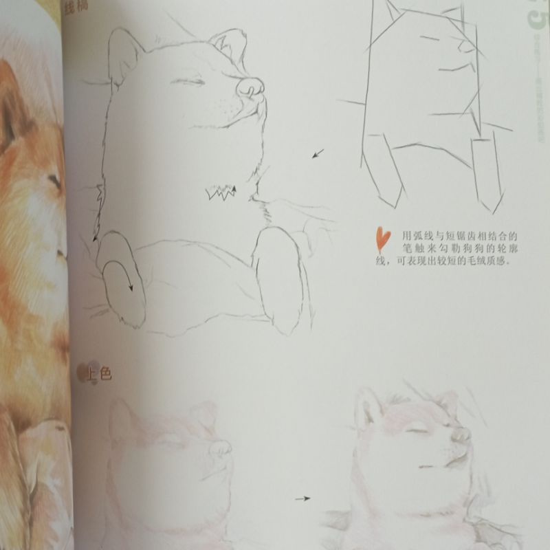 Artbook dạy vẽ màu chì cơ bản dành cho người mới bắt đầu