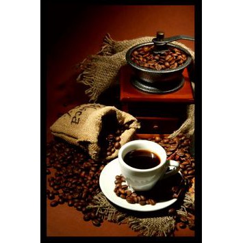 Cafe  Rang Xay Expert Blend 1 KING COFFEE - Túi 500g - cà phê nguyên chất Robusta Buôn Ma Thuột và Đà Lạt