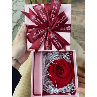 Hộp Quà Nơ 🍒