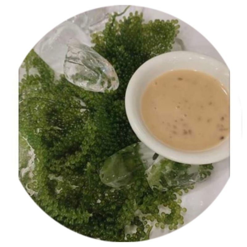 (Rẻ vô địch)2kg rong nho tách nước Nha Trang_Khánh Hòachất lượng, giá cạnh tranh freeship❤