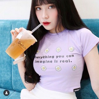 🤡Croptop Nhiều Bông Tím