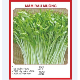 Hạt Giống Rau Mầm Rau Muống 50 gr - DC