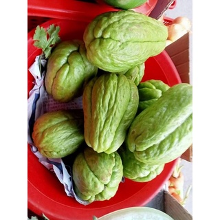 Trái su su đà lạt 500g