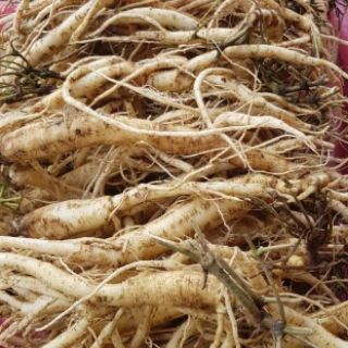 Nước sâm dây Ngọc Linh Kon  Tum