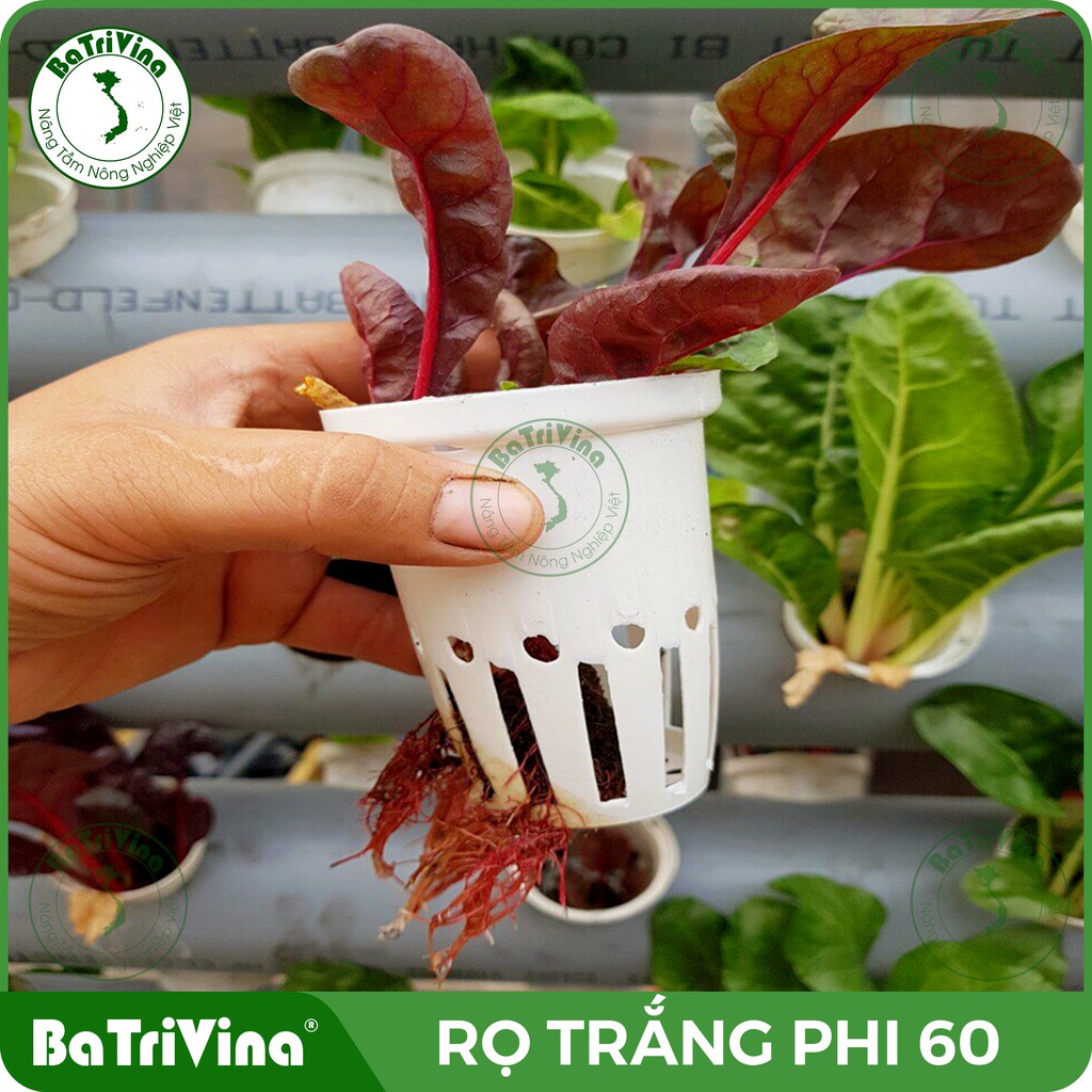 COMBO 100 rọ trắng nguyên sinh 70x100 (phi khoan 60) trồng rau thủy canh cho ống nước PVC phi 110