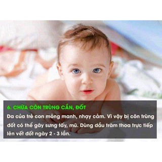 TINH DẦU TRÀM 50ml