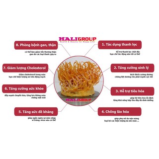 100g Hoa Đông Trùng hạ thảo (loại sấy khô)